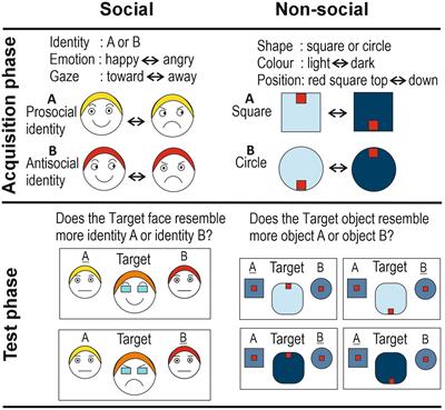 Social intuition: behavioral and neurobiological considerations